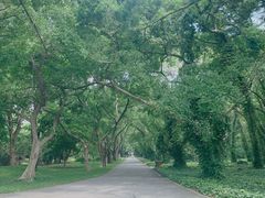 -华南国家植物园-售票处