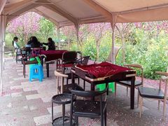 -桃源山庄·摘樱桃·柴火鸡·烧烤团建(龙泉山店)