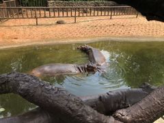 -海南热带野生动植物园