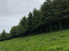 -红崖峡谷景区