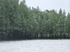 -苏州太湖国家湿地公园