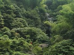 -长谷洞天