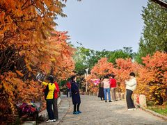 -南翠屏公园