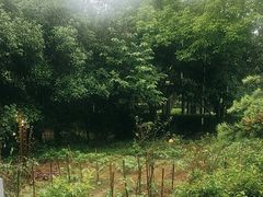 -故乡缘·香格里拉山庄(冷竹路店)