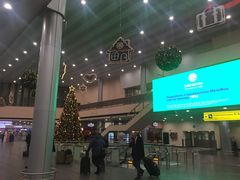 大厅-谢列梅捷沃国际机场