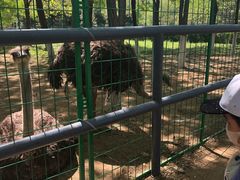 -长白岛森林公园