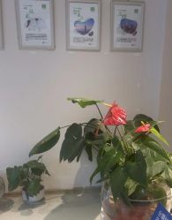 -Dr.林醫生产后修复·配方产康店(南京大厂店)