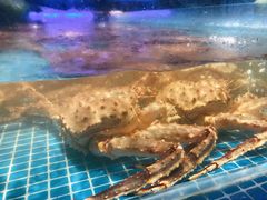 -驻海渔市(置信店)