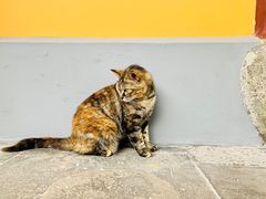 -龙华寺