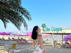 -巨鹏飞梦幻海岸