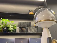 -梵猫·新养生(加州广场店)