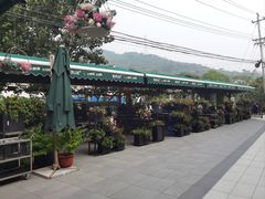 -京北渔家傲