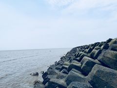 -南汇嘴观海公园