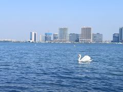 -北龙湖湿地公园