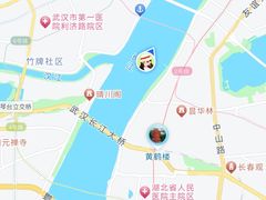 -武汉关码头(轮渡站)