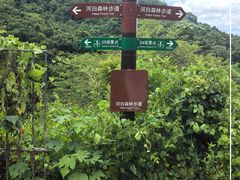 -海南热带雨林国家公园吊罗山景区