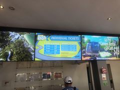 -圣淘沙天际线斜坡滑车