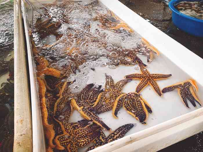 海鲜市场-"#点评有礼# 奔着乳山生蚝的名气来的,不."-大众点评移动版