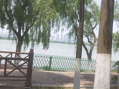 -金银湖国家城市湿地公园
