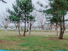 -洨河生态公园
