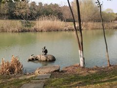 -幕燕滨江·长江观音景区