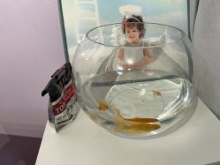 -米粒儿童摄影(观音桥店)