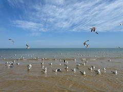 -那香海钻石沙滩浴场