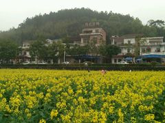 -红山村