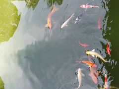 -海南文笔峰盘古文化旅游区