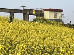 -两河城市森林公园