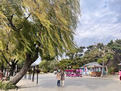 -长春市南湖公园