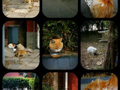 -大钟寺古钟博物馆