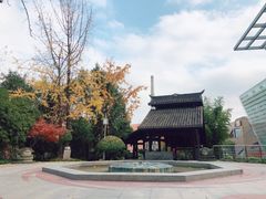 -活水公园