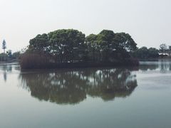 -梁鸿国家湿地公园