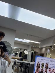 -蚂蚁造型沙龙