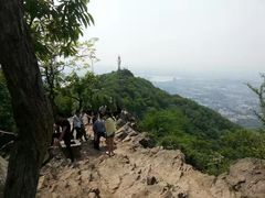 -紫金山山顶公园