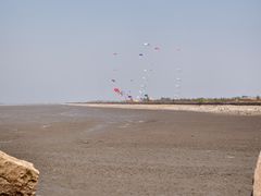-辽宁团山国家级海洋公园