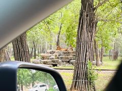 -秦皇岛野生动物园
