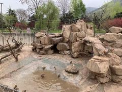 景点-西安秦岭野生动物园