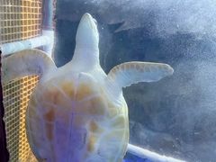 -长春中泰海洋世界