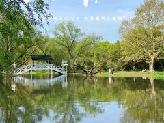 -上海共青森林公园