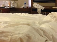 IMG_4478-澳门十六浦索菲特大酒店