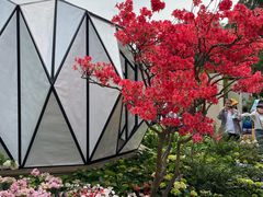 -深圳仙湖植物园