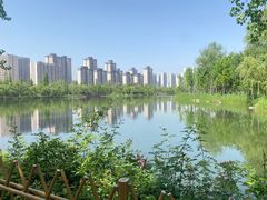 -洋湖国家湿地公园