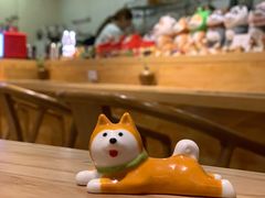 -柴务处·柴犬主题狗咖