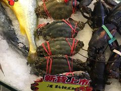 -渔娘渔家丹东海鲜(东直门店)