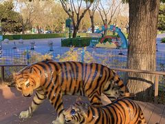 -北京野生动物园