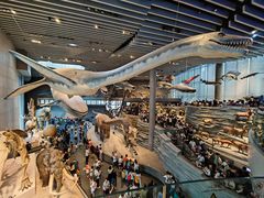 -上海浦西万怡酒店