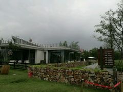 -田园东方蜜桃村的田野营地