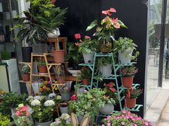-FEI FEI FLOWER鲜花店·气球派对·宝宝宴布置(虹口德必运动Loft店)